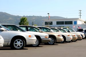 Bargain used cars Bradenton dealership lot with multiple sedans parked in rows under clear blue sky.